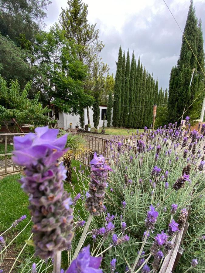 Boutique Calderon Hotel Huasca de Ocampo